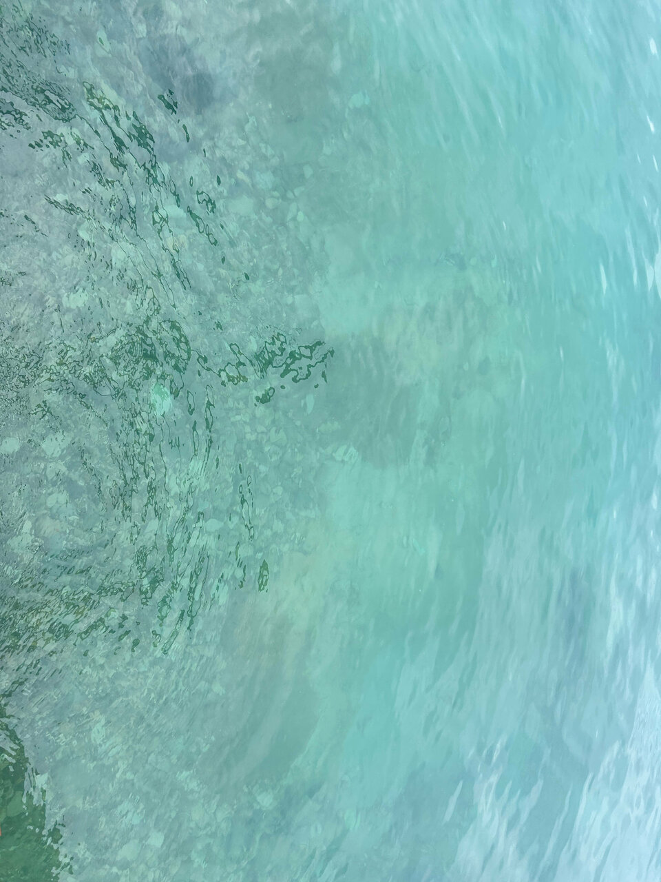 Гостиница Кавказ Ольгинка-114