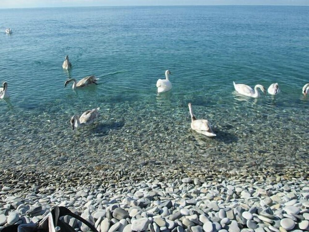 Гостиница Кавказ Ольгинка-90