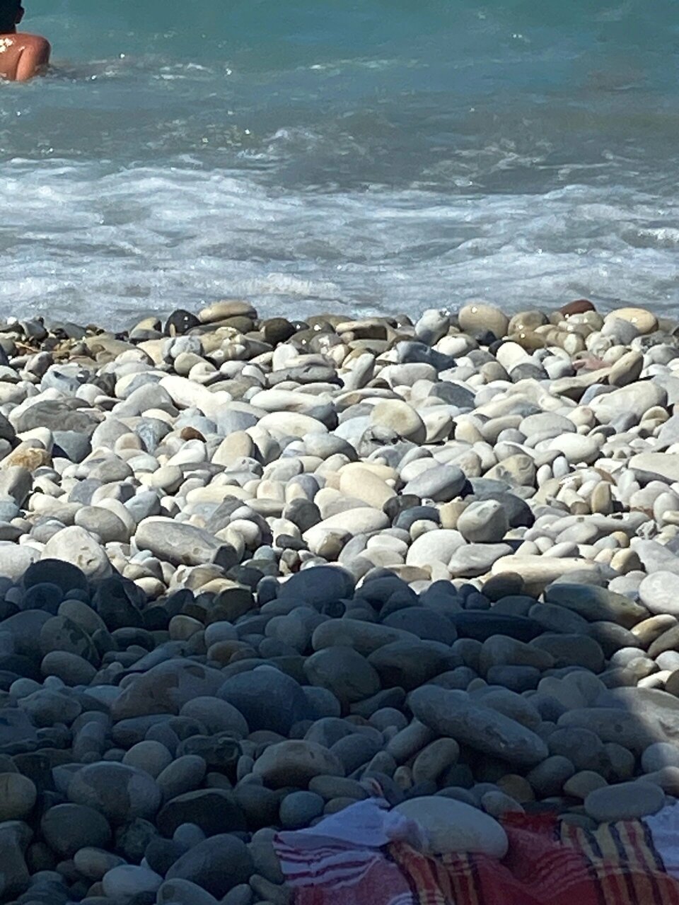 Гостиница Кавказ Ольгинка-127