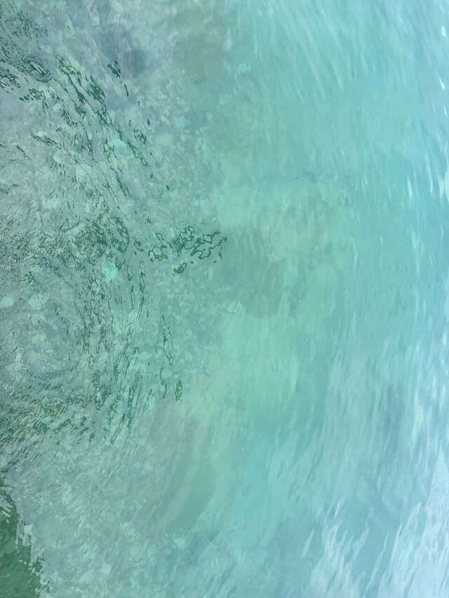 Гостиница Кавказ Ольгинка-113