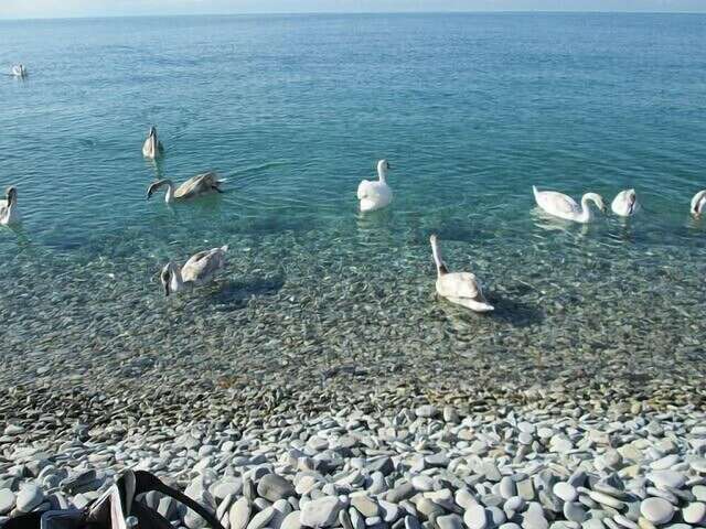 Гостиница Кавказ Ольгинка-89